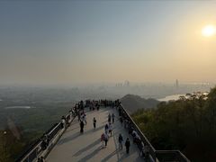 -紫金山山顶公园