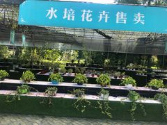 -保利石象湖景区