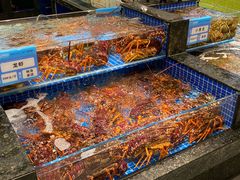 -东海怡品海鲜豆捞(舟宿夜江店)