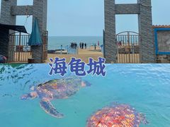 -硇洲岛旅游区