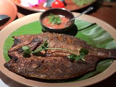 -花马天堂云南餐厅 Lost Heaven(外滩店)