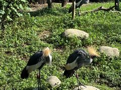 -常州淹城野生动物世界