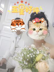 点击看大图 -重庆三毛摄影