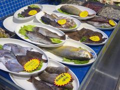 -77号渔船·蒸海鲜青岛菜(积米崖店)