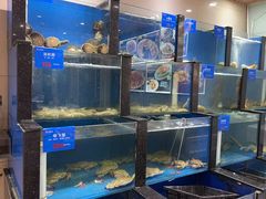 -品味居·首店·大连鲜活海鲜大连菜(东港店)