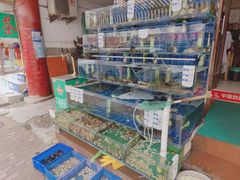 -香满居张记小厨私房菜(青岛站店)
