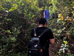 -西涌国际滨海旅游区