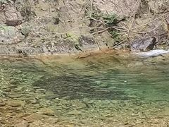 -南海湾森林生态园