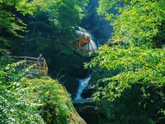 -碧峰峡风景区