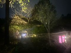 -森波拉火山温泉