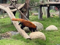 -武汉动物园