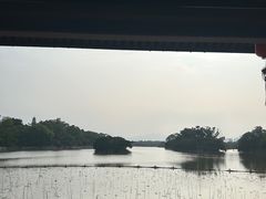 -江心屿景区