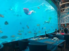 -瑞德姆美人鱼海底演艺主题餐厅(亚龙湾店)