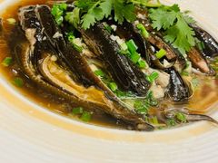 糟香鳝丝-得月楼·省级非遗·传统苏帮菜(观前店)