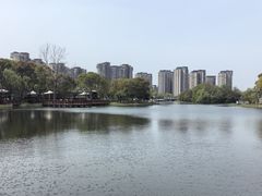 -新江湾城公园