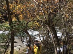 -叠溪松坪沟景区