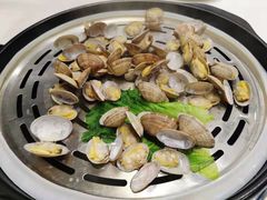 花蛤-蔚海之都·象山蒸汽海鲜(仙霞路店)