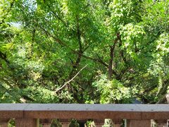 -草庵摩尼教遗址公园