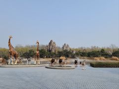 -北京野生动物园