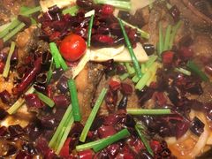 -老板恋上鱼(印象城店)