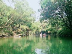 -九曲溪竹筏码头