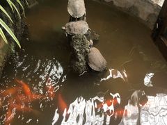 -丽江庭院·云南野生菌·海鲜火锅(鼓楼四合院店)