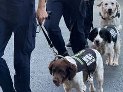 -深圳湾万象城(南山店)