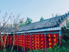 -玫瑰小镇