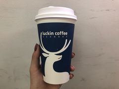 -luckincoffee瑞幸咖啡(东方都会大厦店)
