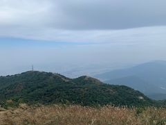 -梧桐山风景名胜区