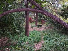 -国家植物园南园