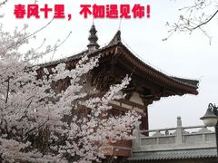 -西安青龙寺遗址景区