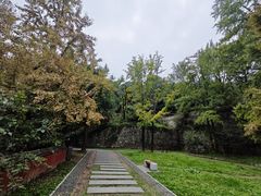 -阳台山自然风景区