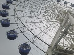 -秦皇岛乐岛海洋王国