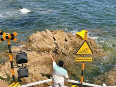 -北戴河碧螺塔海上酒吧公园