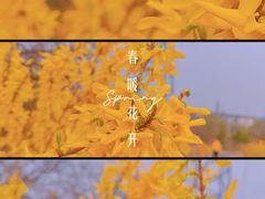 -白水寺森林公园