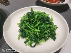 时令鲜蔬-蜀国演义(黄寺大街店)