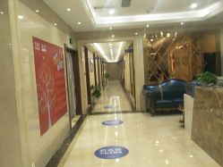 -碧莲盛·不剃发植发