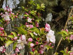 -元大都城垣遗址公园