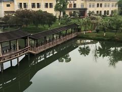 -乳源丽宫国际温泉酒店