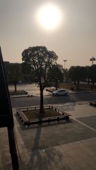 -水八仙生态园
