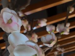 -梨花自助烤肉(乐宾店)