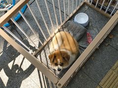 -永安鱼庄·镇江菜(东吴路店)