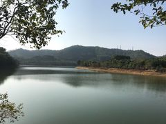 -凤岗南门山森林公园