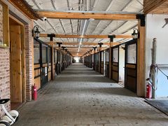 -北京群众马术培训基地