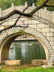 -玄武湖景区-情侣园游乐场