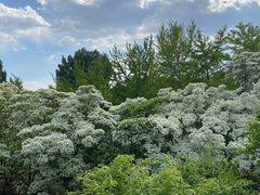 -国家植物园南园