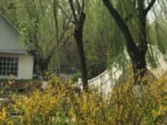 -康庄公园