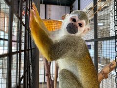 -海合安武汉极地海洋公园