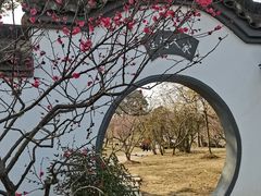 -无锡梅园公园